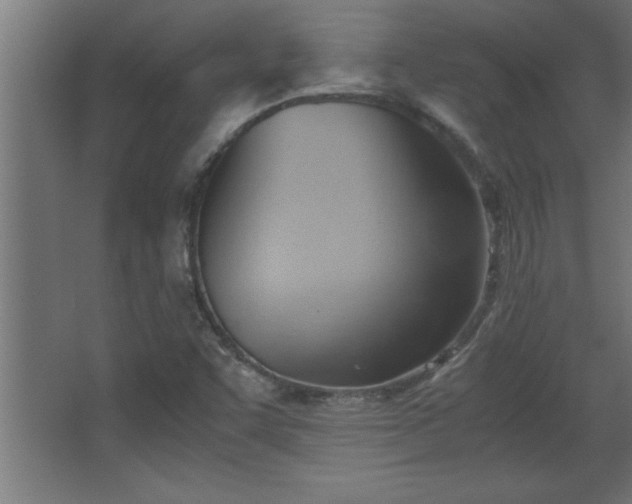 X0000067831455200604201203