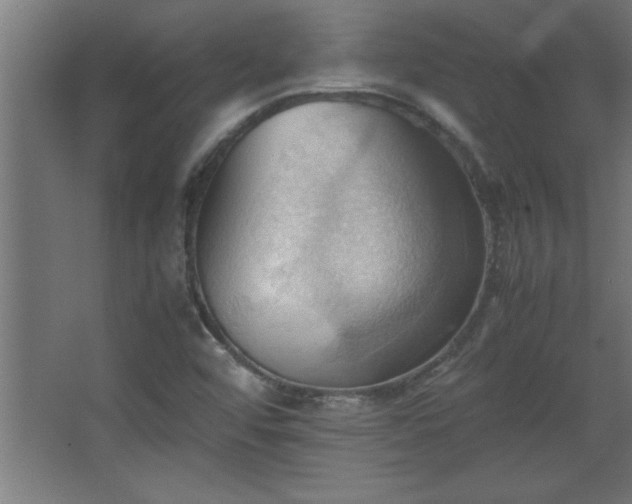 X0000067831456200604201203