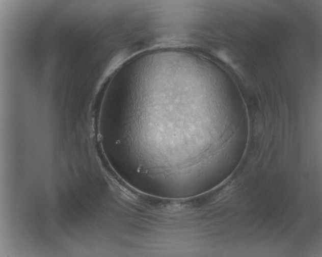 X0000067831459200604201203