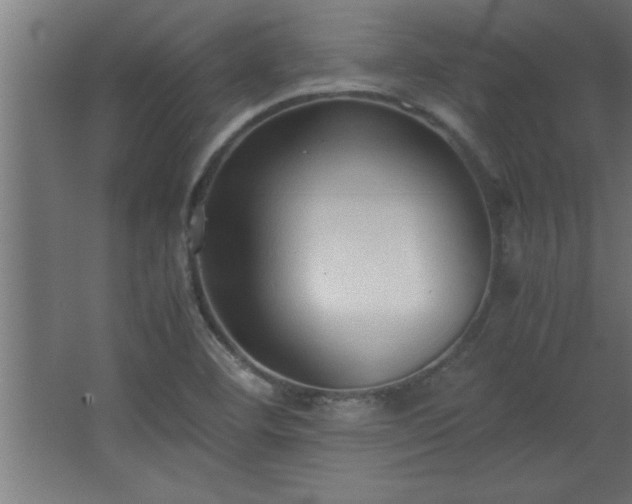 X0000067831460200604201203