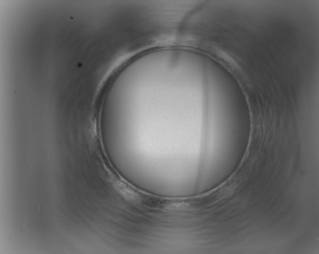 X0000067831462200604201203