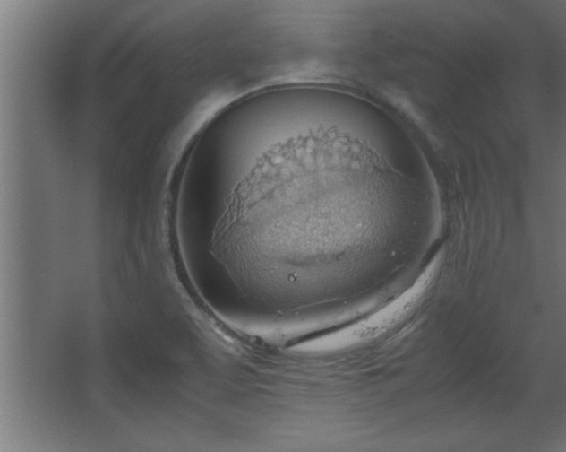 X0000067831463200604201203