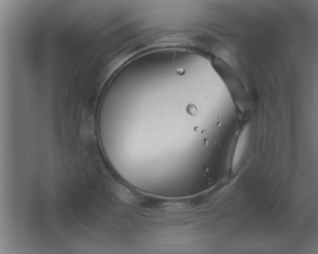 X0000067831465200604201203