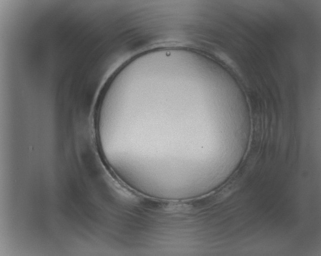 X0000067831466200604201203