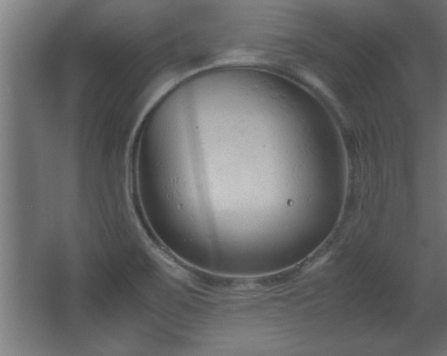 X0000067831467200604201203