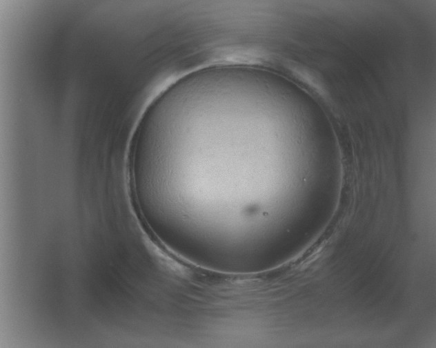 X0000067831471200604201203