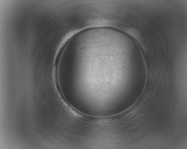 X0000067831472200604201203