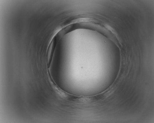 X0000067831473200604201202