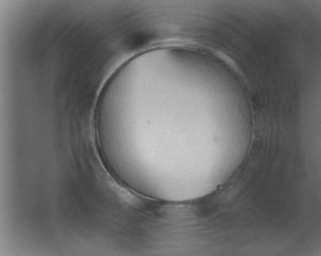 X0000067831474200604201202