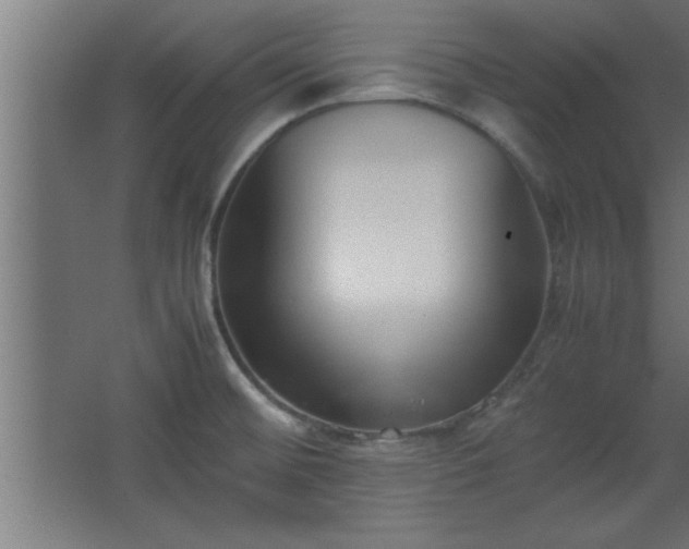 X0000067831476200604201202