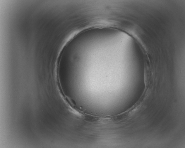 X0000067831477200604201202