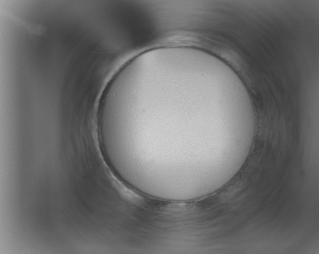 X0000067831478200604201202