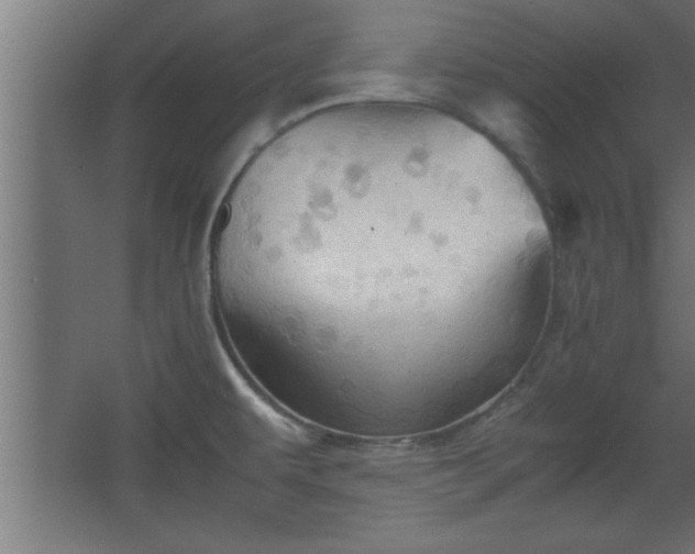 X0000067831479200604201202