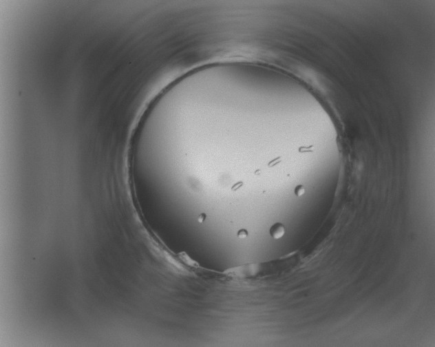 X0000067831480200604201202