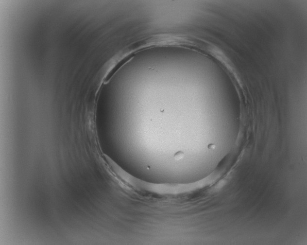 X0000067831481200604201202