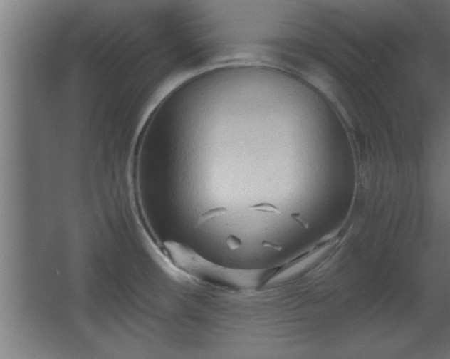 X0000067831482200604201202