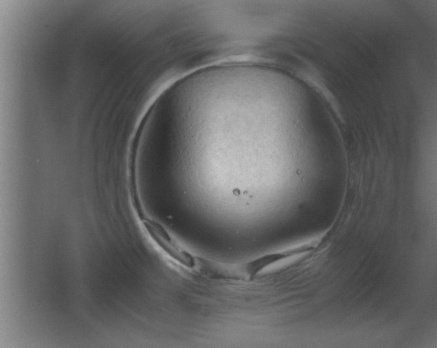 X0000067831483200604201202