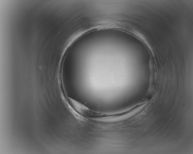 X0000067831485200604201202