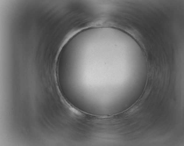 X0000067831486200604201202