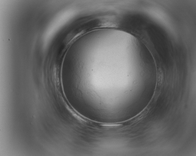 X0000067831487200604201202