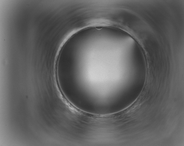 X0000067831488200604201202