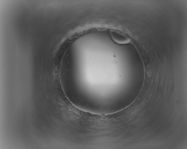 X0000067831495200604201202