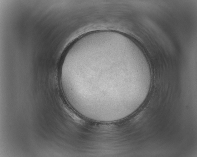 X0000067831498200604201202