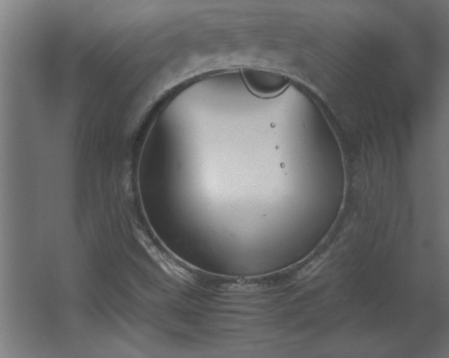 X0000067831499200604201202