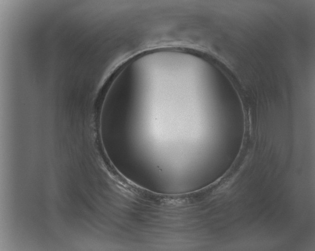 X0000067831501200604201202