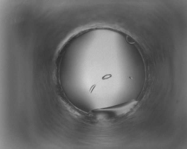 X0000067831502200604201202