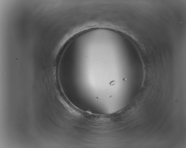 X0000067831503200604201202