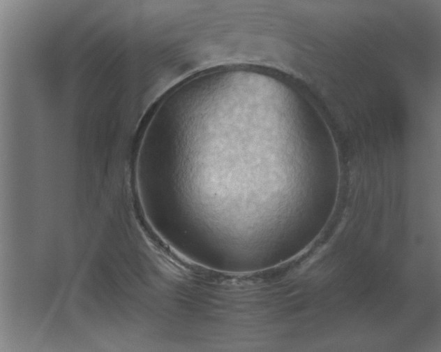 X0000067831505200604201202