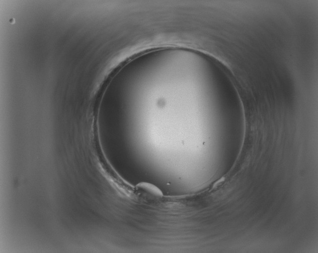 X0000067831507200604201202