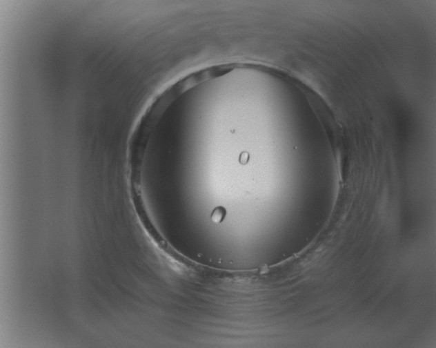 X0000067831508200604201202