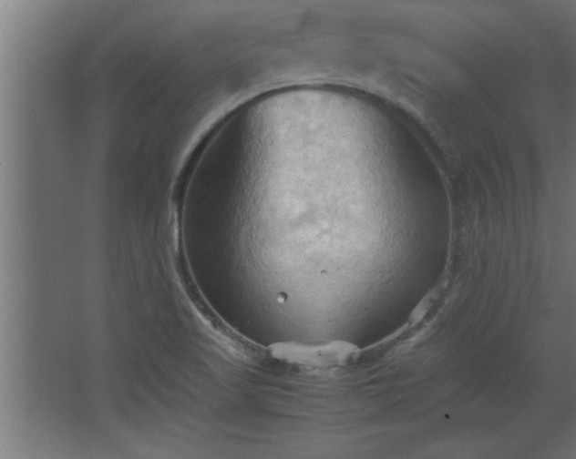 X0000067831509200604201202