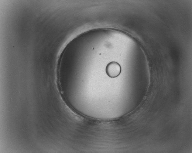 X0000067831512200604201202