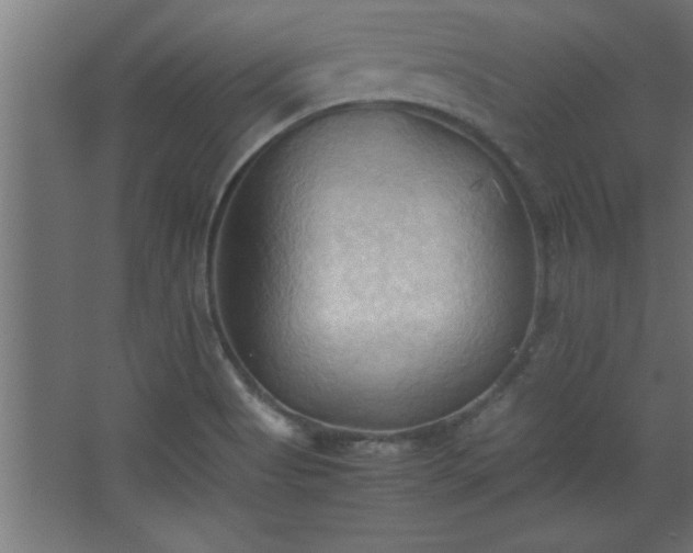 X0000067831513200604201202