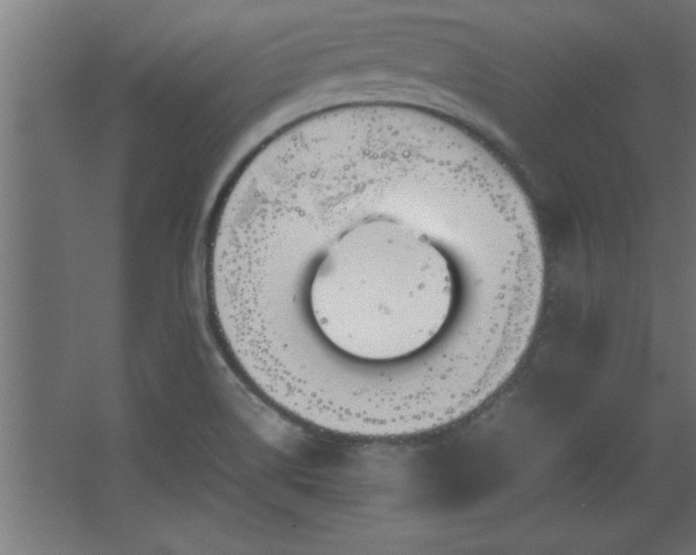 X0000067831514200604201202