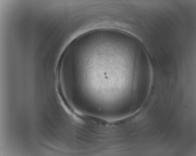 X0000067831515200604201202