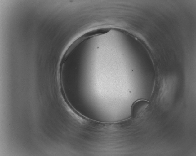 X0000067831516200604201202