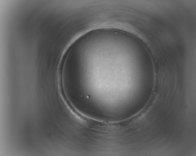 X0000067831517200604201202