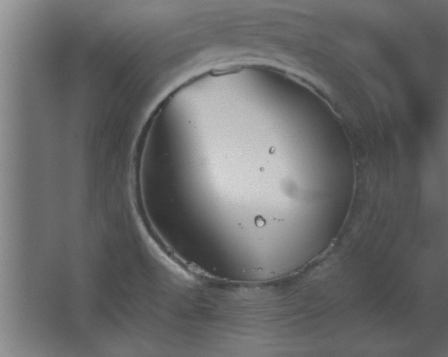 X0000067831518200604201202