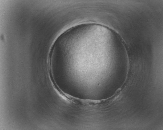 X0000067831519200604201202