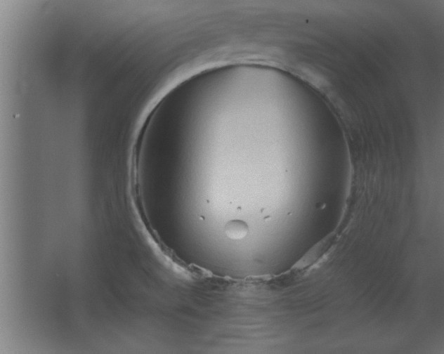 X0000067831520200604201202