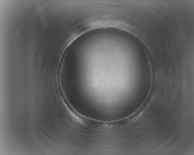 X0000067831521200604201202