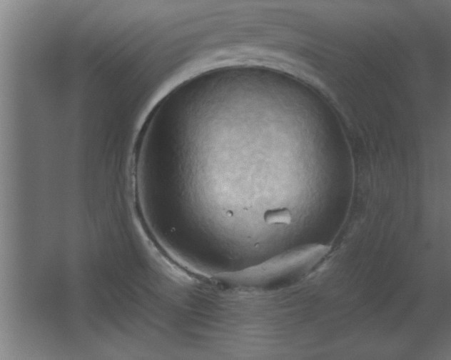 X0000067831522200604201202