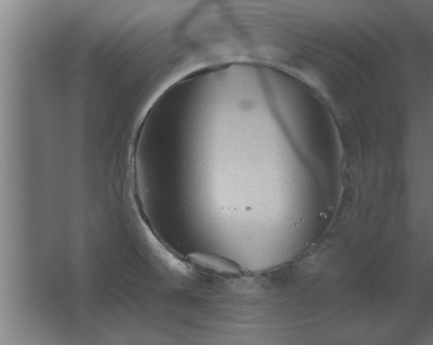 X0000067831524200604201202