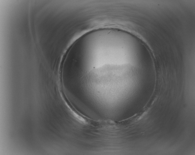 X0000067831525200604201202