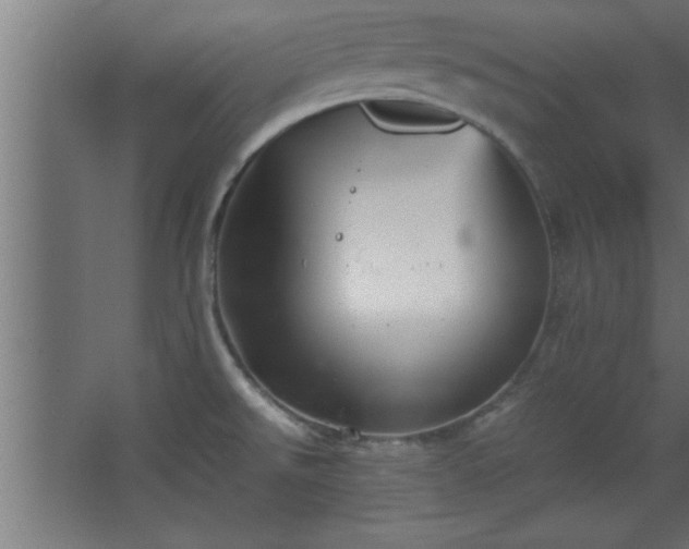 X0000067831526200604201202