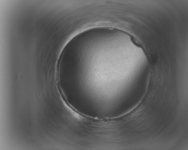 X0000067831527200604201202